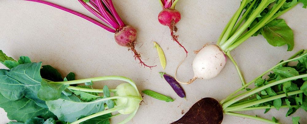 自家農園での収穫体験