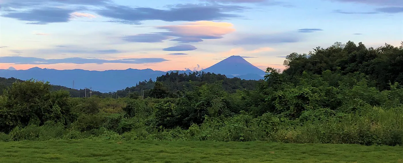 夕暮れをゆっくりと