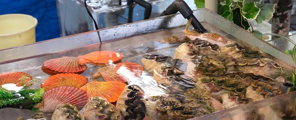 แหล่งท่องเที่ยว