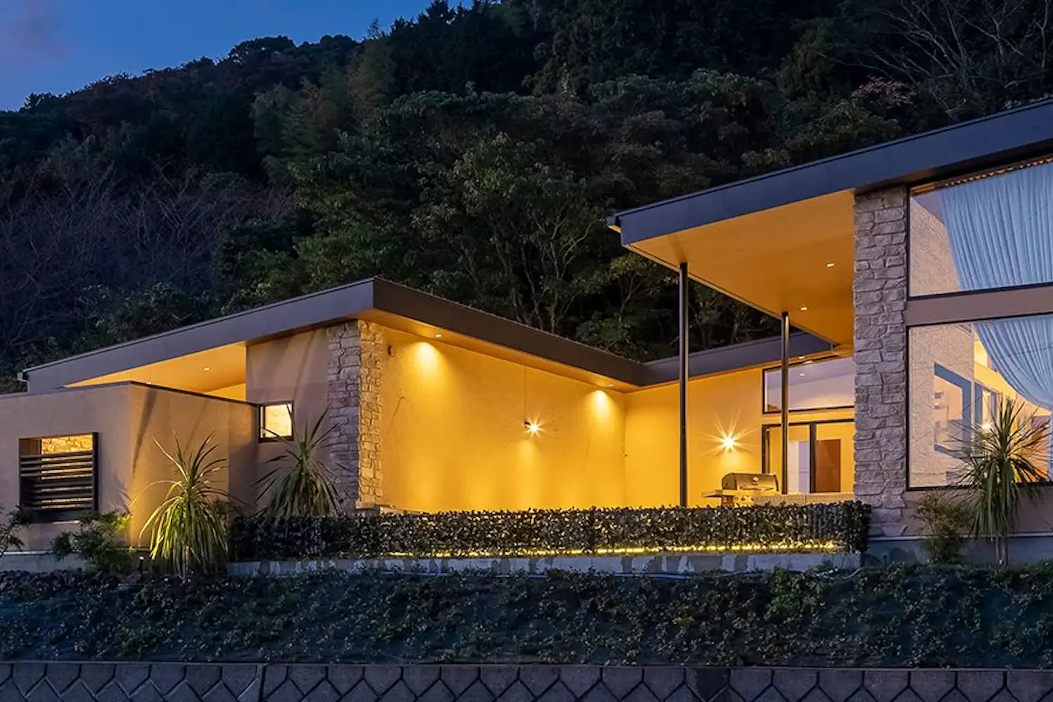 รูปลักษณ์ภายนอก