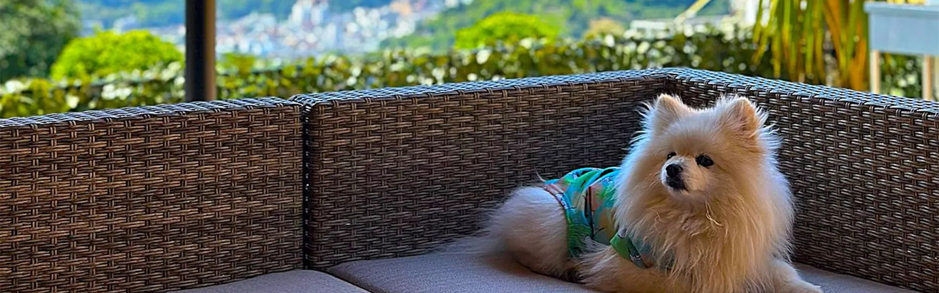 歩羅无 湯河原(Furan Yugawara)