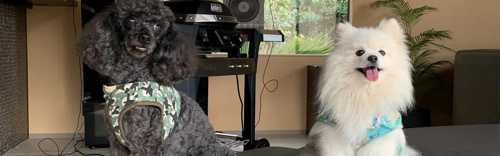 歩羅无 湯河原(Furan Yugawara)