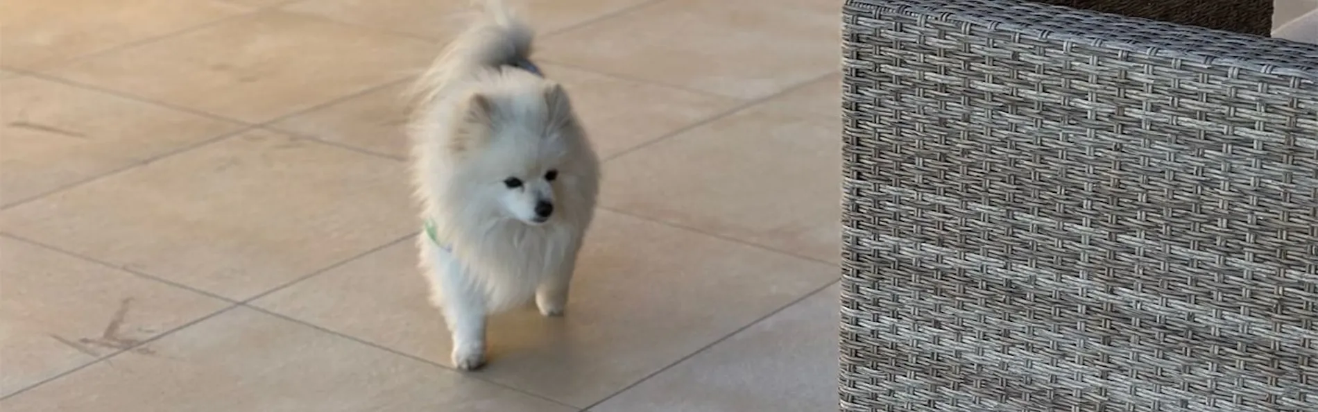 歩羅无 湯河原(Furan Yugawara)