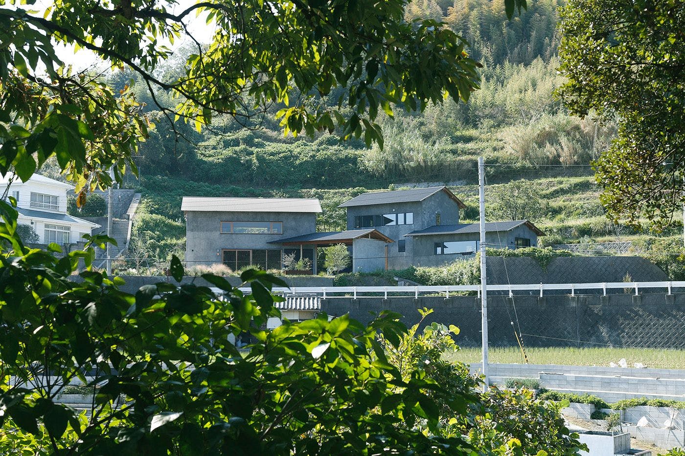 果樹園