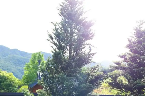 ทัศนียภาพ