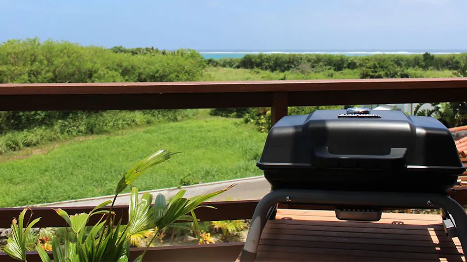 Ocean Palm Villa Ishigaki
