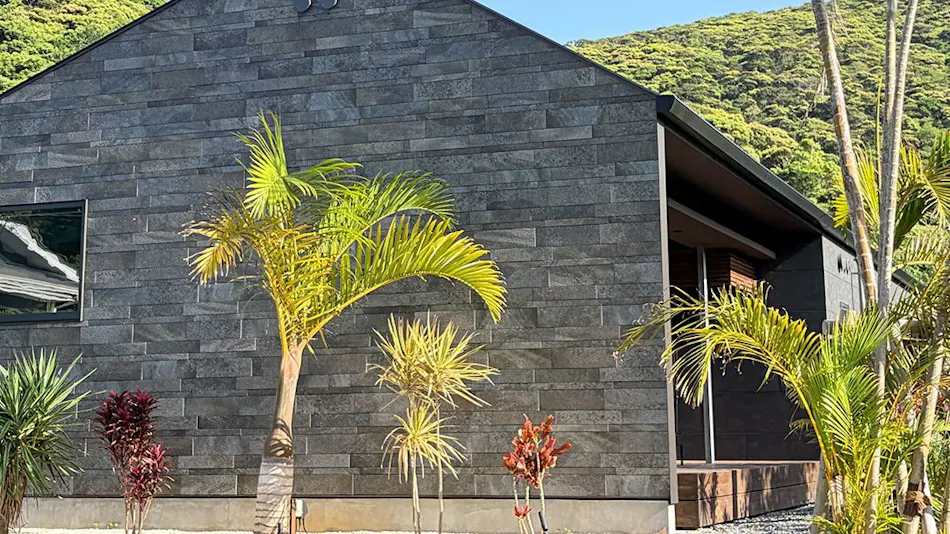 Amami Palm Tree Terrace