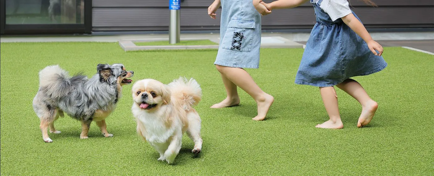 ドッグフレンドリー