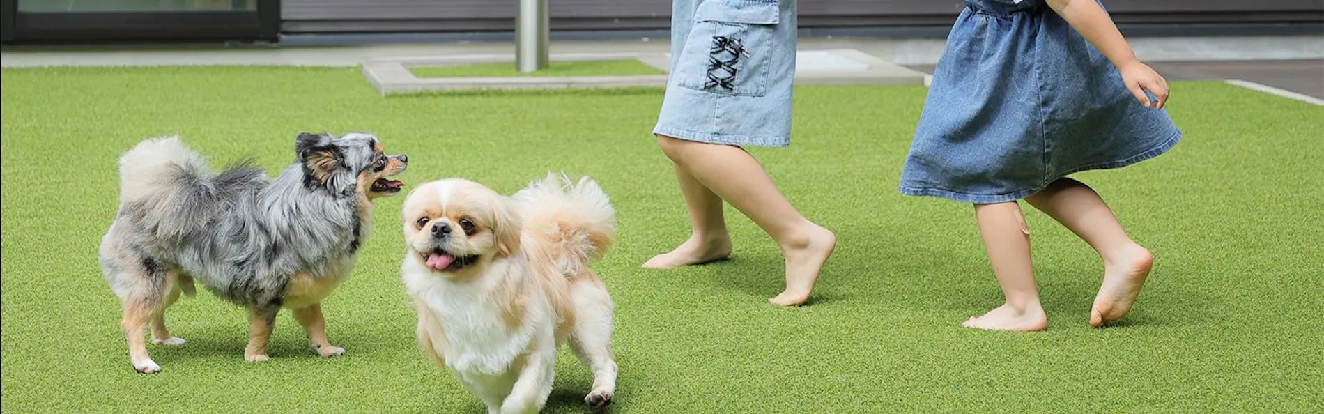 ヴィラ楓倉