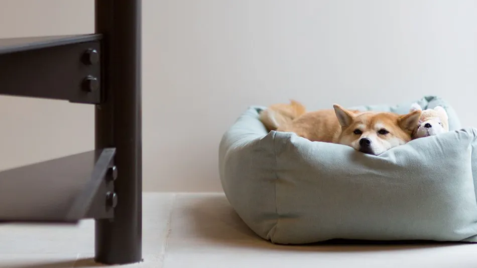 The Canvas Hayama Park