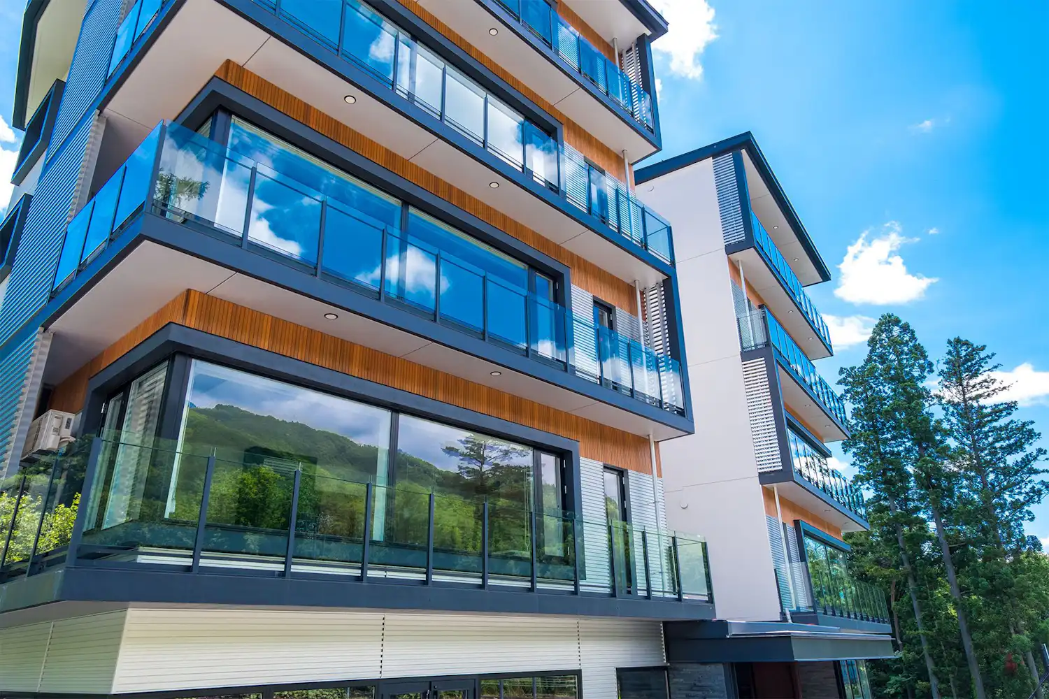 รูปลักษณ์ภายนอก