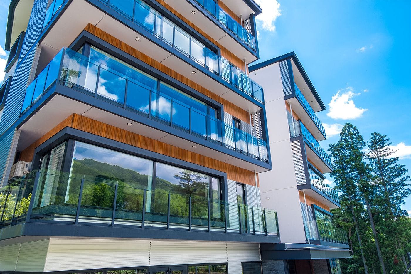 รูปลักษณ์ภายนอก