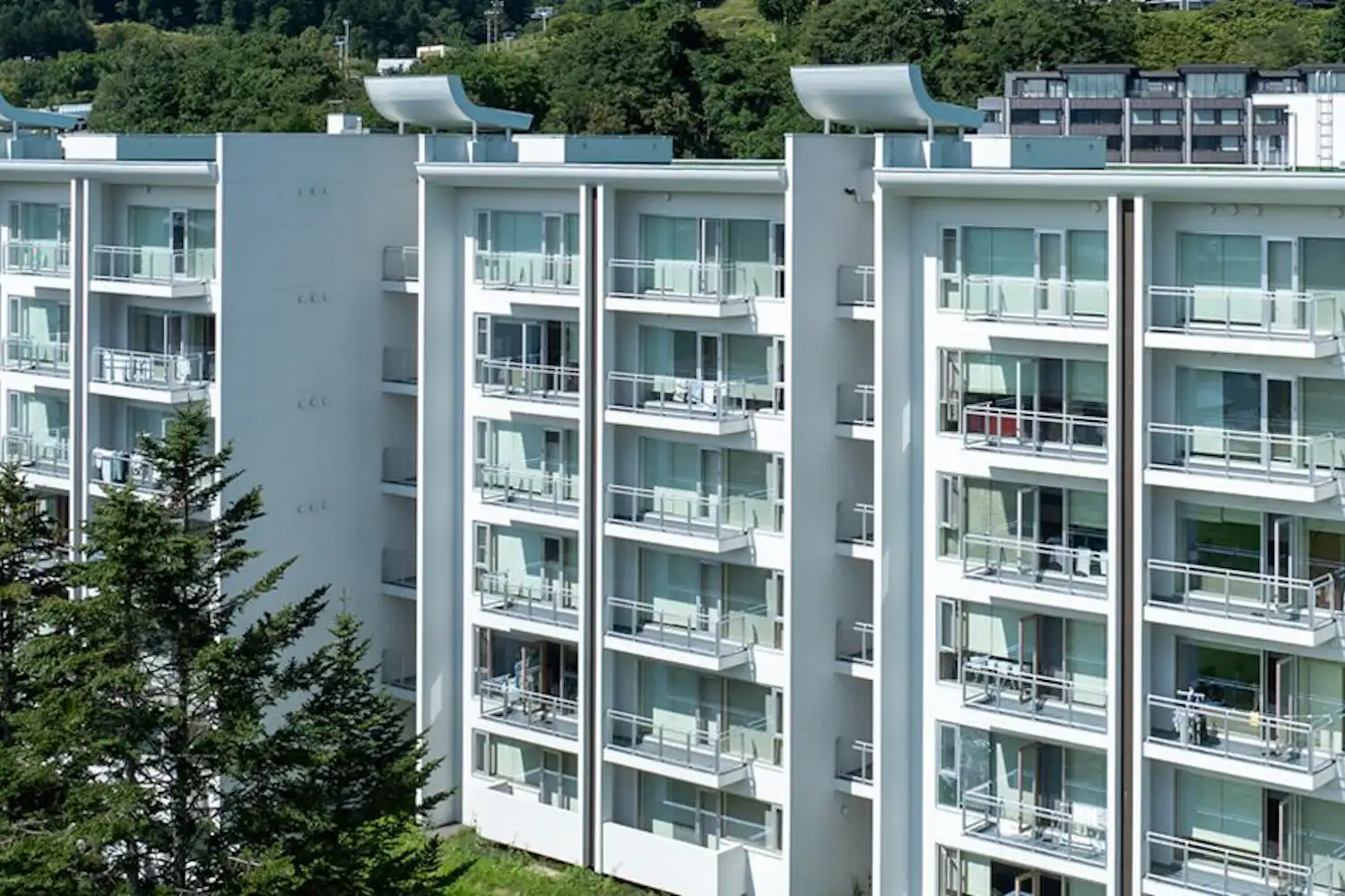 รูปลักษณ์ภายนอก