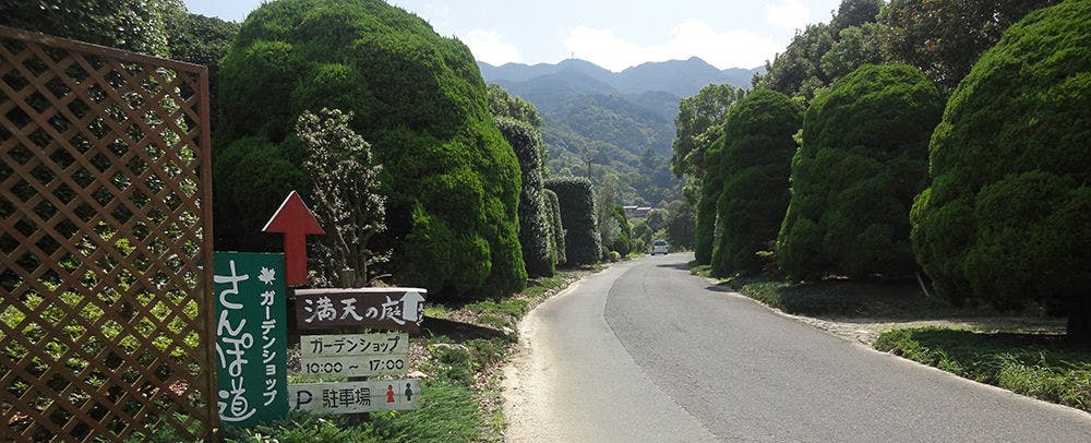 画像d_004.JPG