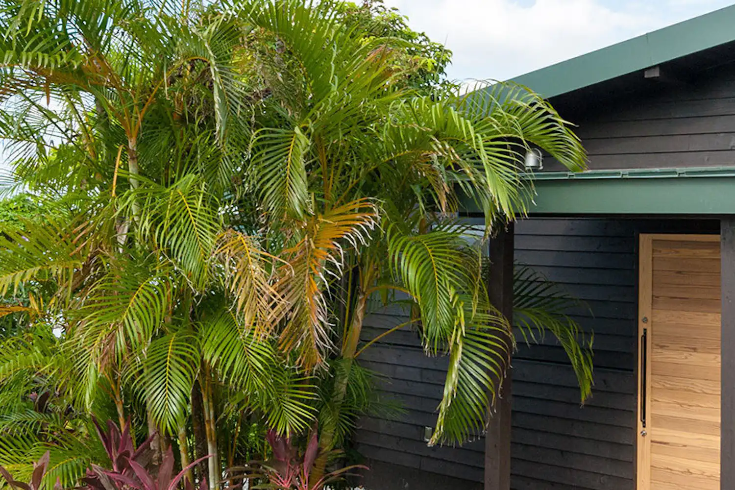 ภายนอก 1