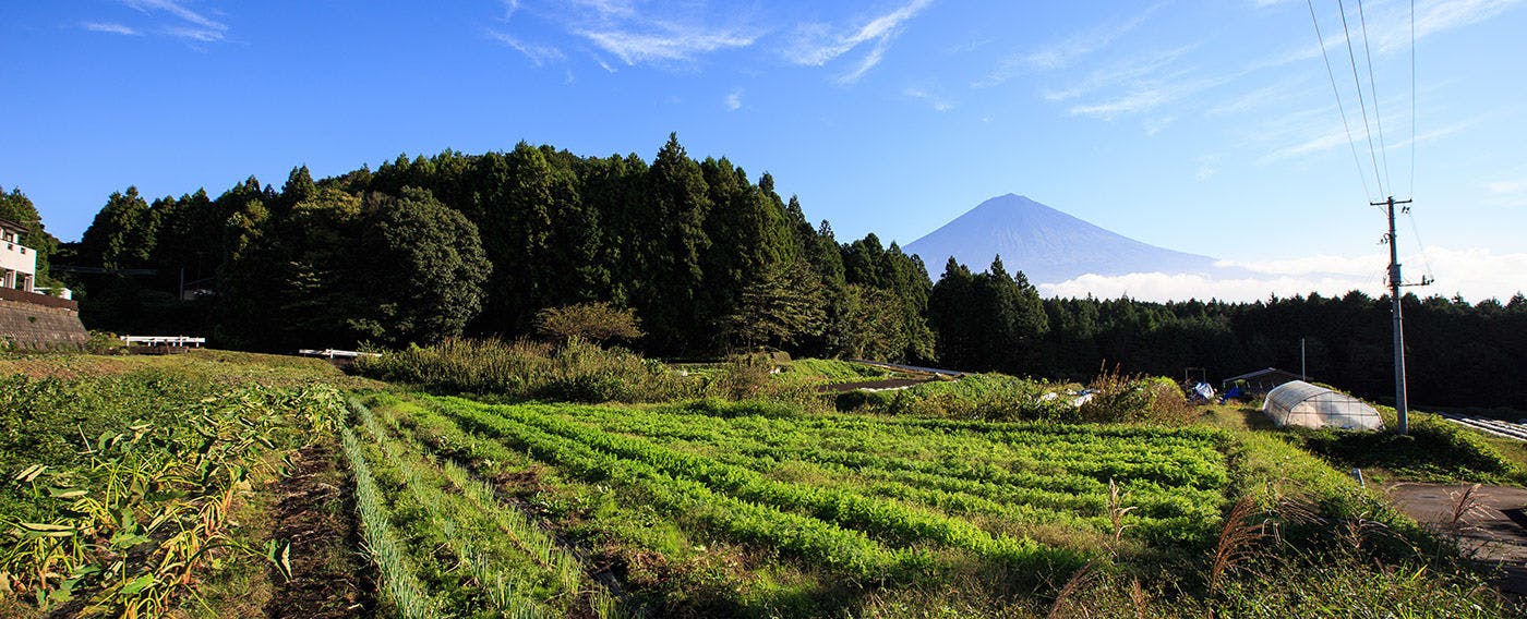 GOTEN TOMOE residence