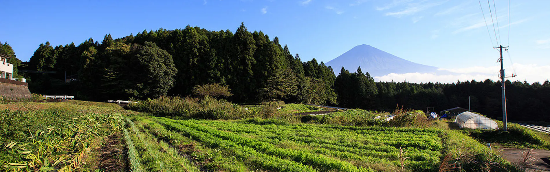 GOTEN TOMOE residence