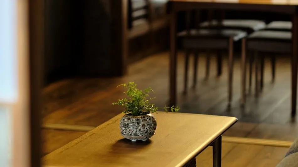 "Wakasa-Obama Historic Townscape: Whole House Rental Traditional Japanese Inn 'Obama Machiya Stay'"