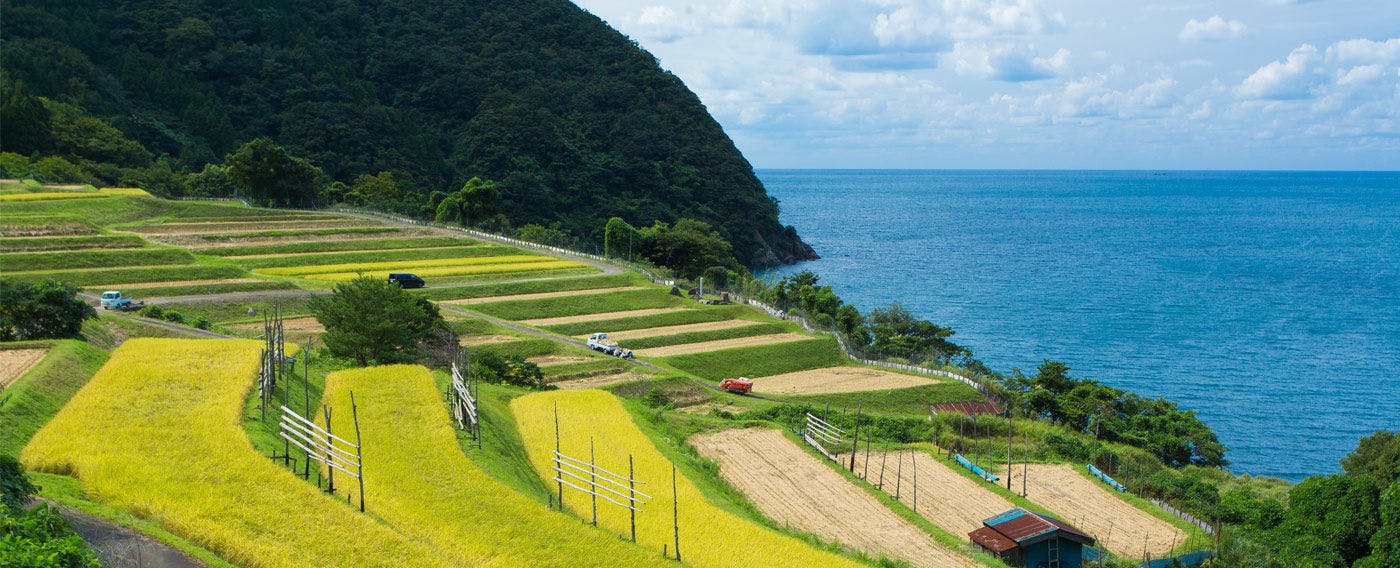 若狭・小浜の歴史ある町並み　一棟貸しの古民家宿「小浜町家ステイ」