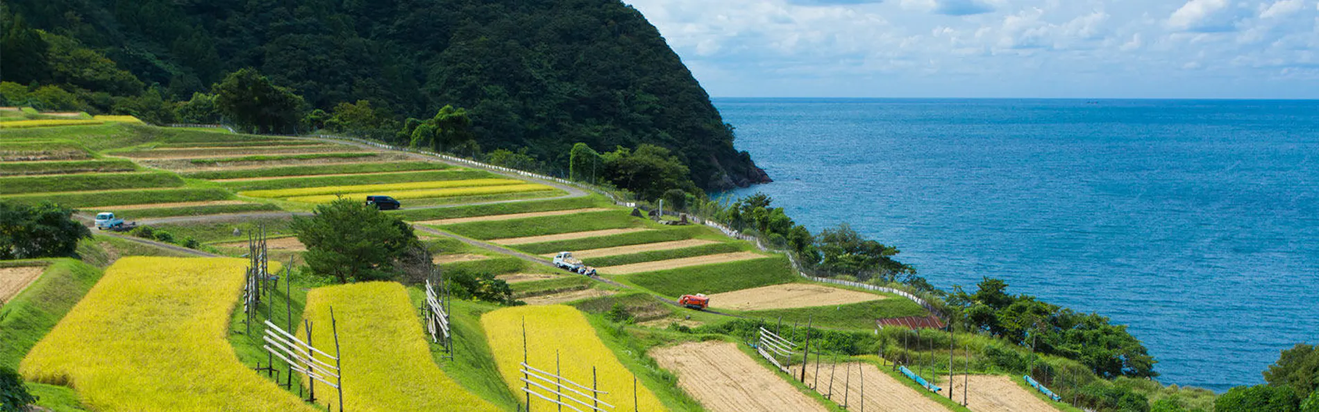 若狭・小浜の歴史ある町並み 一棟貸しの古民家宿「小浜町家ステイ」