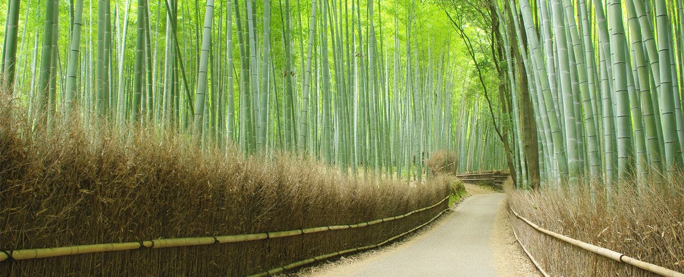 たそかれ 〈一棟貸し町家〉