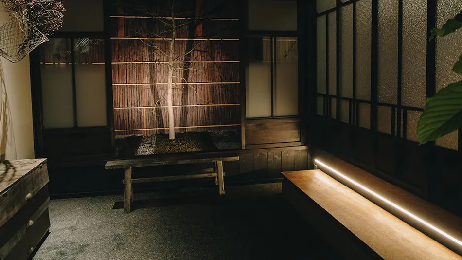 Shichijo Miyabi