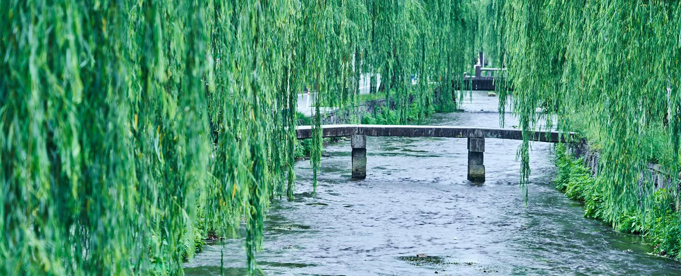 Nikmati suasana Kyoto