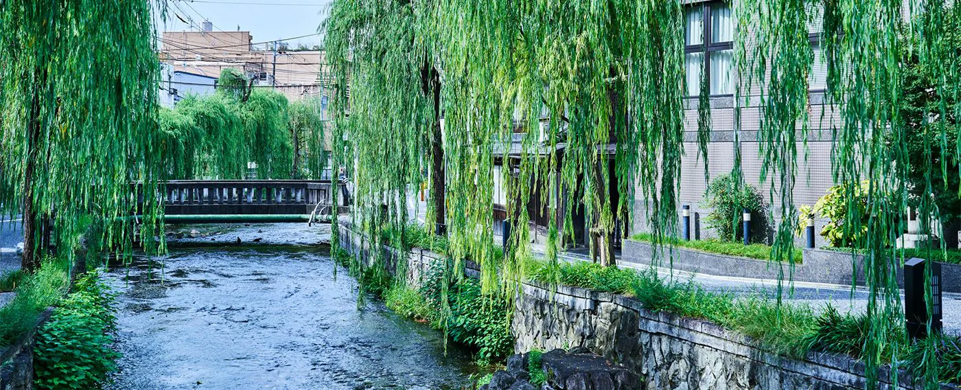 Nikmati pesona Kyoto dalam jarak berjalan kaki.