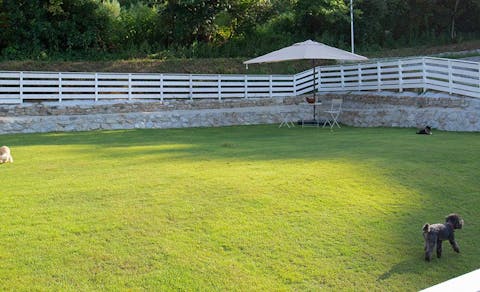 21年最新 兵庫周辺でペットと泊まれる宿ランキング 一休 Com 21年最新 兵庫周辺でペットと泊まれる宿ランキング 一休 Com