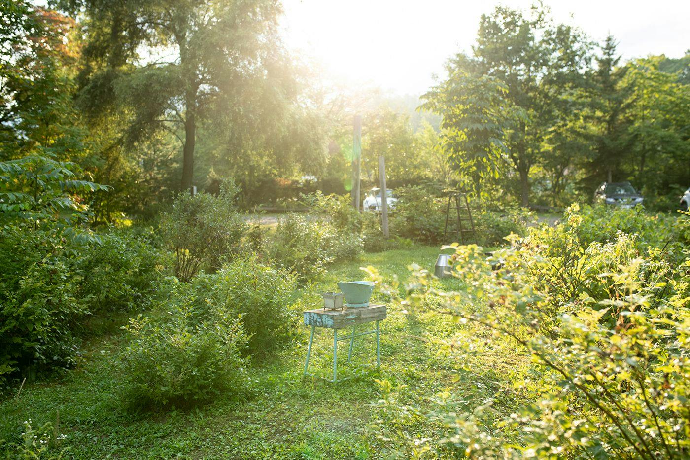 Sakuraoka Retreat Lodge Norheim