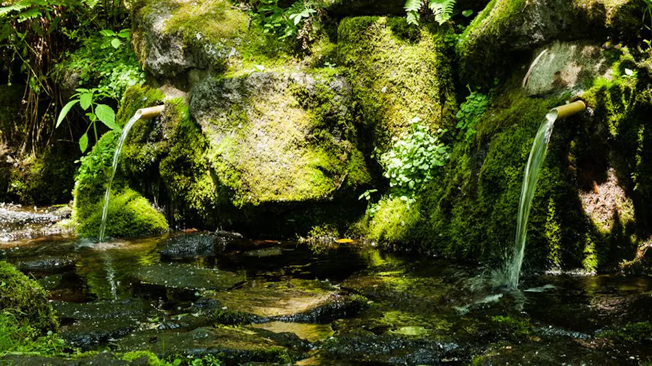 Sakuraoka Retreat Lodge Norheim
