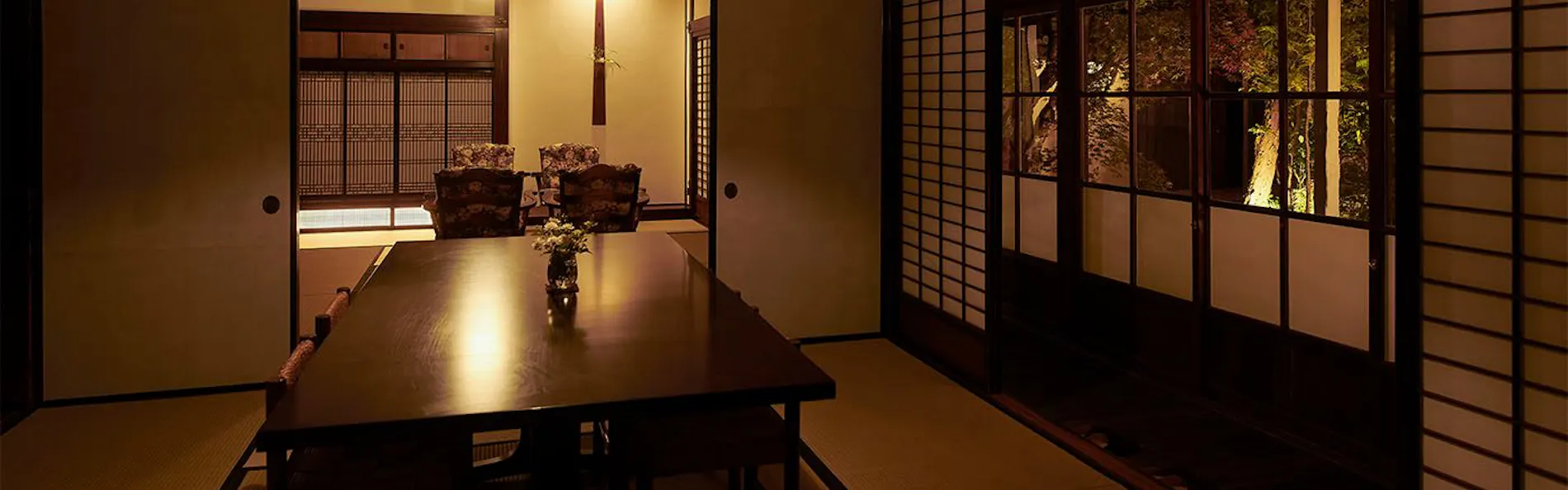 白藤