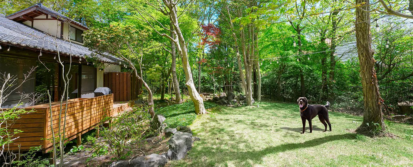 ไม่ว่าจะที่ไหน หรือกี่ตัว ก็สามารถอยู่กับสุนัขที่คุณรักได้