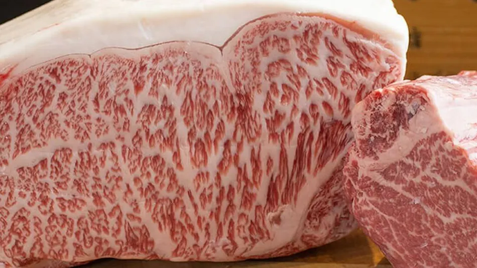 Private Sauna and Himi Wagyu Teppanyaki Inn ~GYU-YA VILLA~