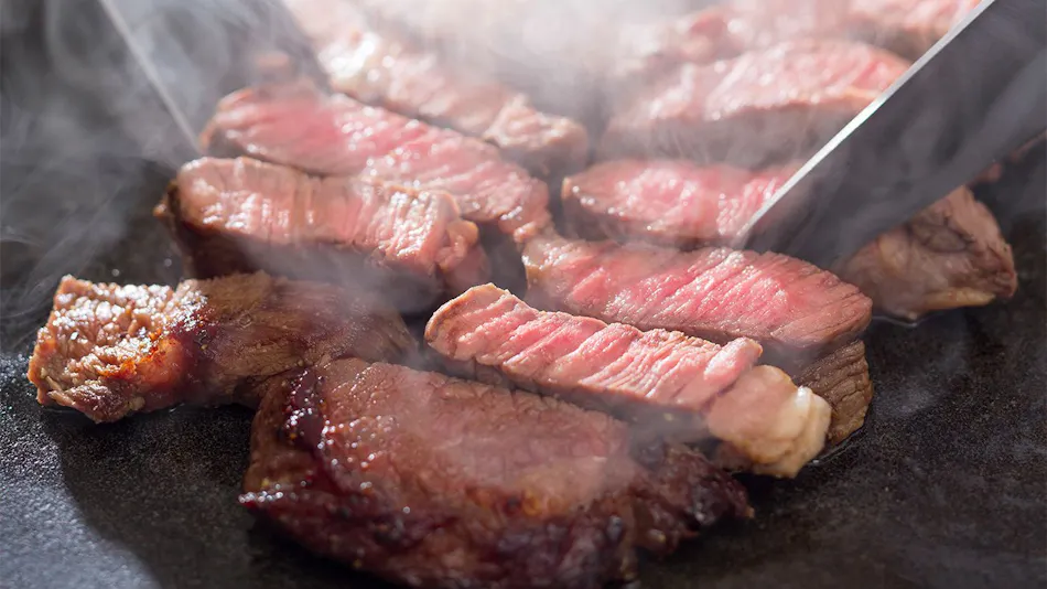 Private Sauna and Himi Wagyu Teppanyaki Inn ~GYU-YA VILLA~