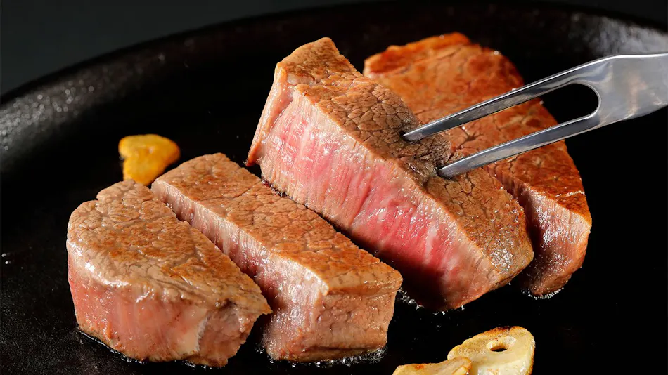 Private Sauna and Himi Wagyu Teppanyaki Inn ~GYU-YA VILLA~