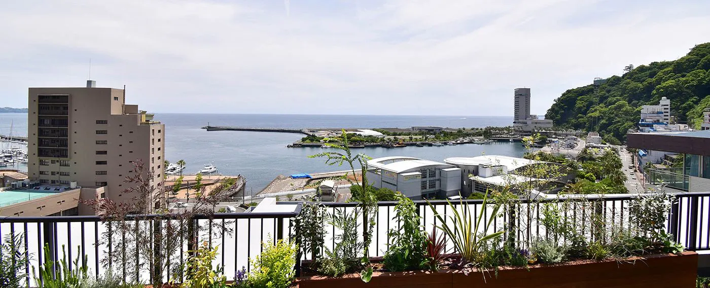 ดาดฟ้าระเบียง