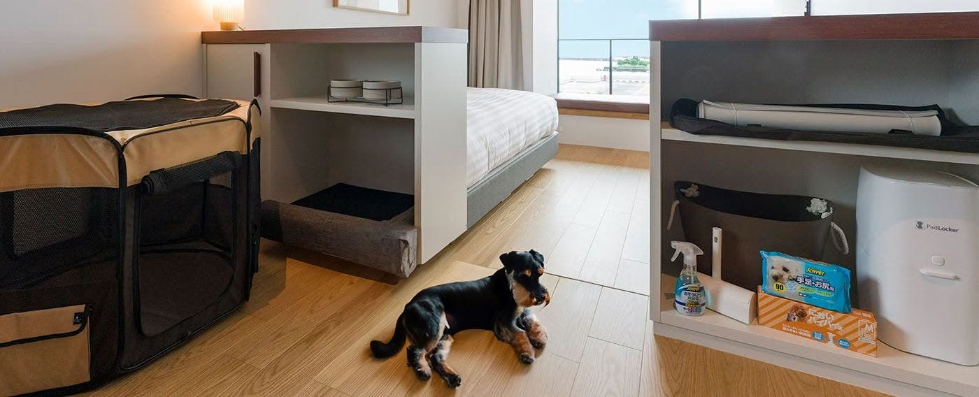 ห้องพักที่เป็นมิตรกับสัตว์เลี้ยง