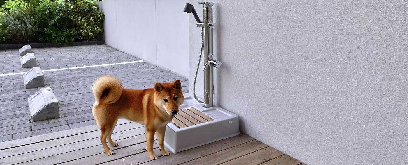 พื้นที่ล้างเท้า