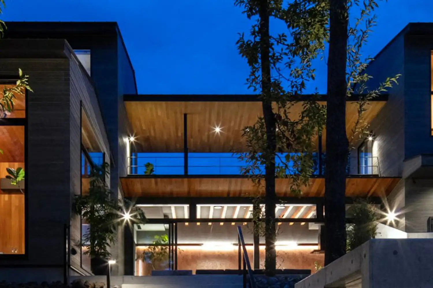 รูปลักษณ์ภายนอก