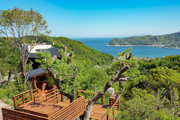 ลักษณะภายนอก