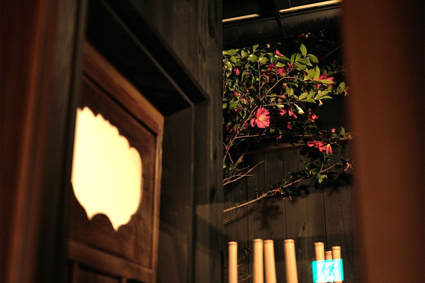 Tsumugi Gion Shirakawa