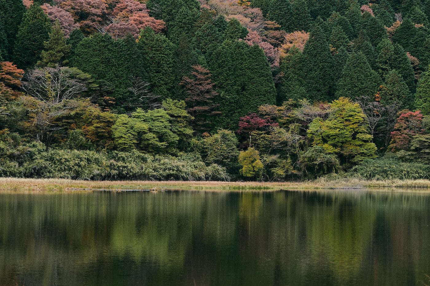 GEOSPOT MOTOHAKONE C