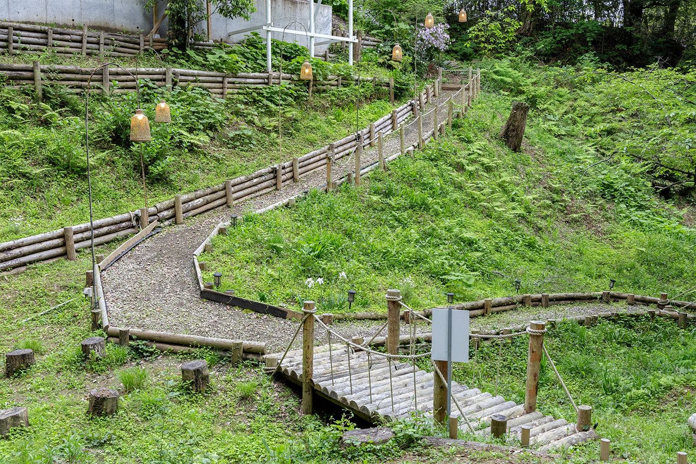 森の散策道
