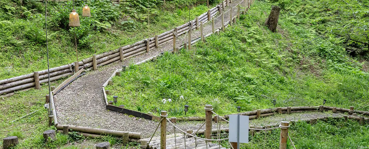 森の散策道
