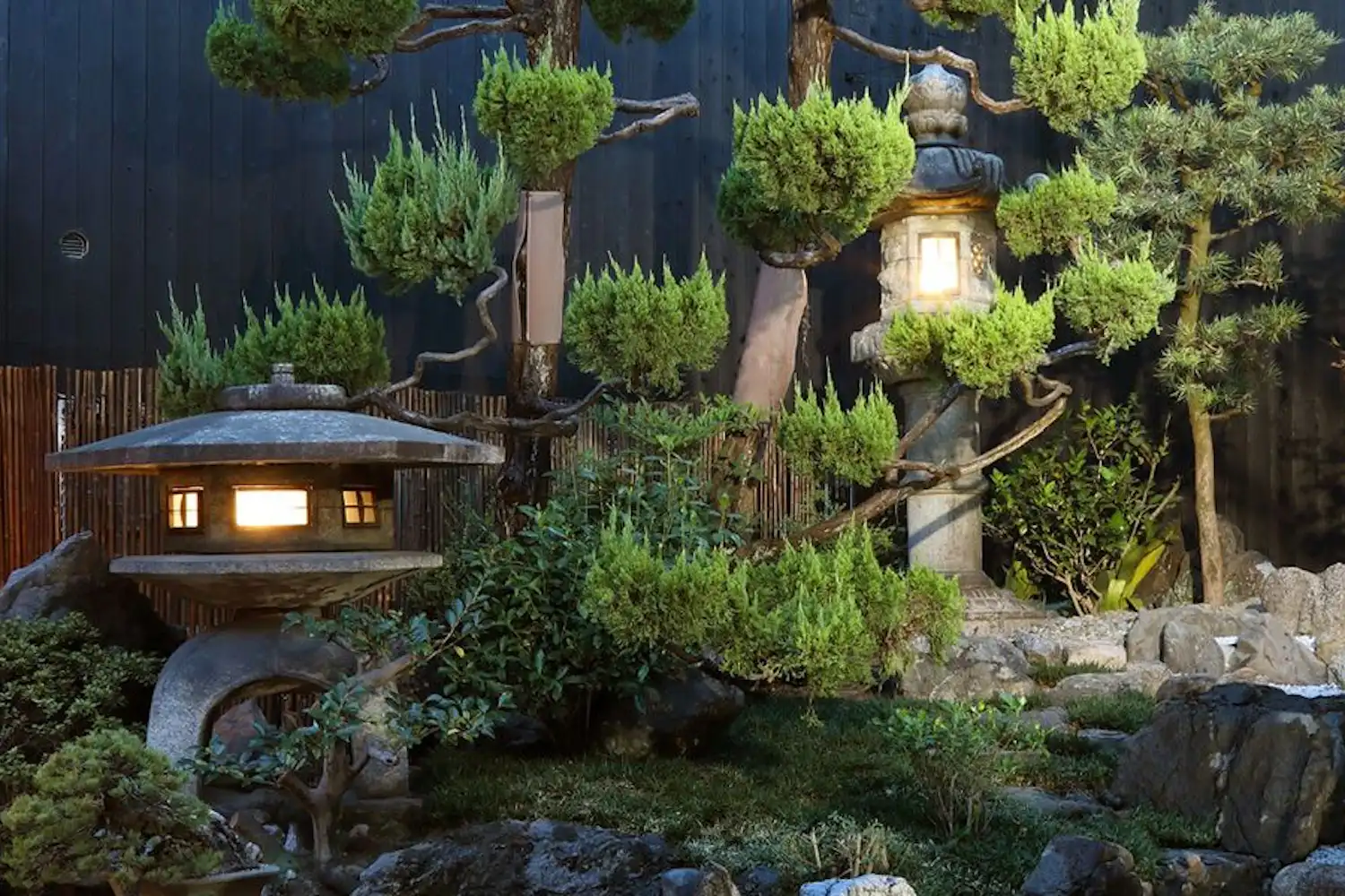 Garden Night View