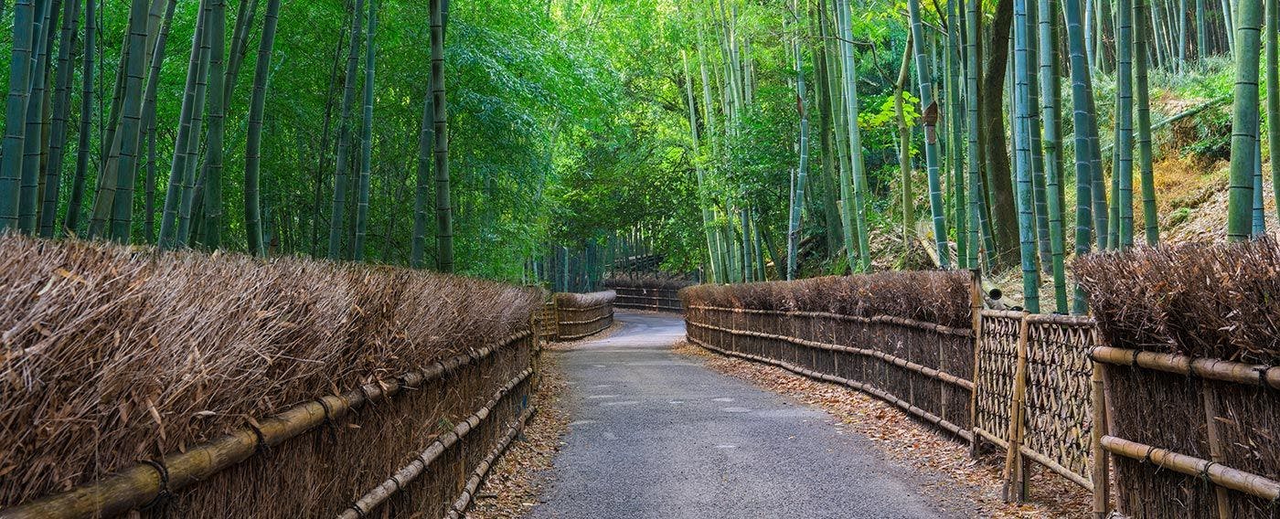 บริเวณโดยรอบ