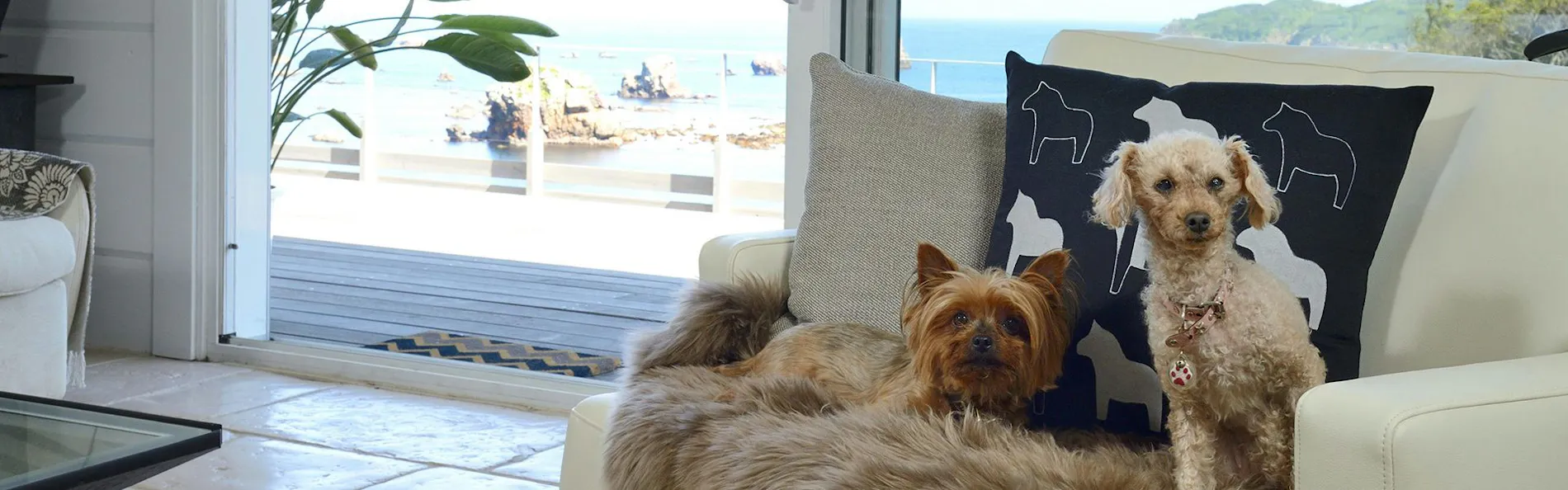 ホテル四季の蔵 別邸~海の見える白浜のプライベートバカンス Casa Della Nonna(カーサ デラ ノンナ)~