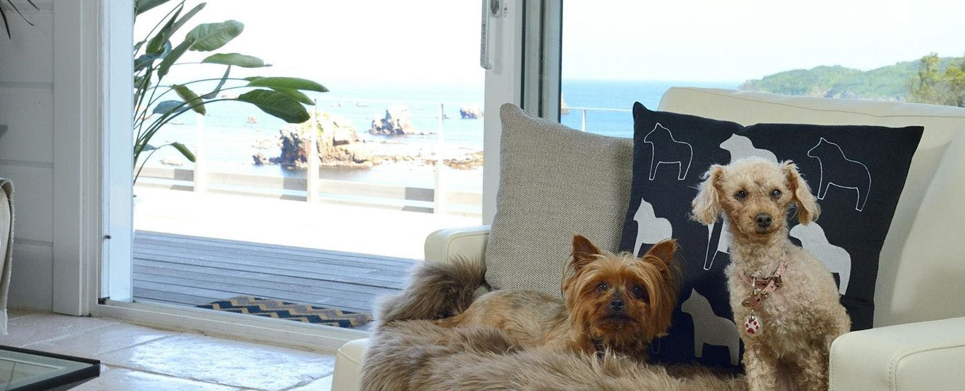 リビングルーム