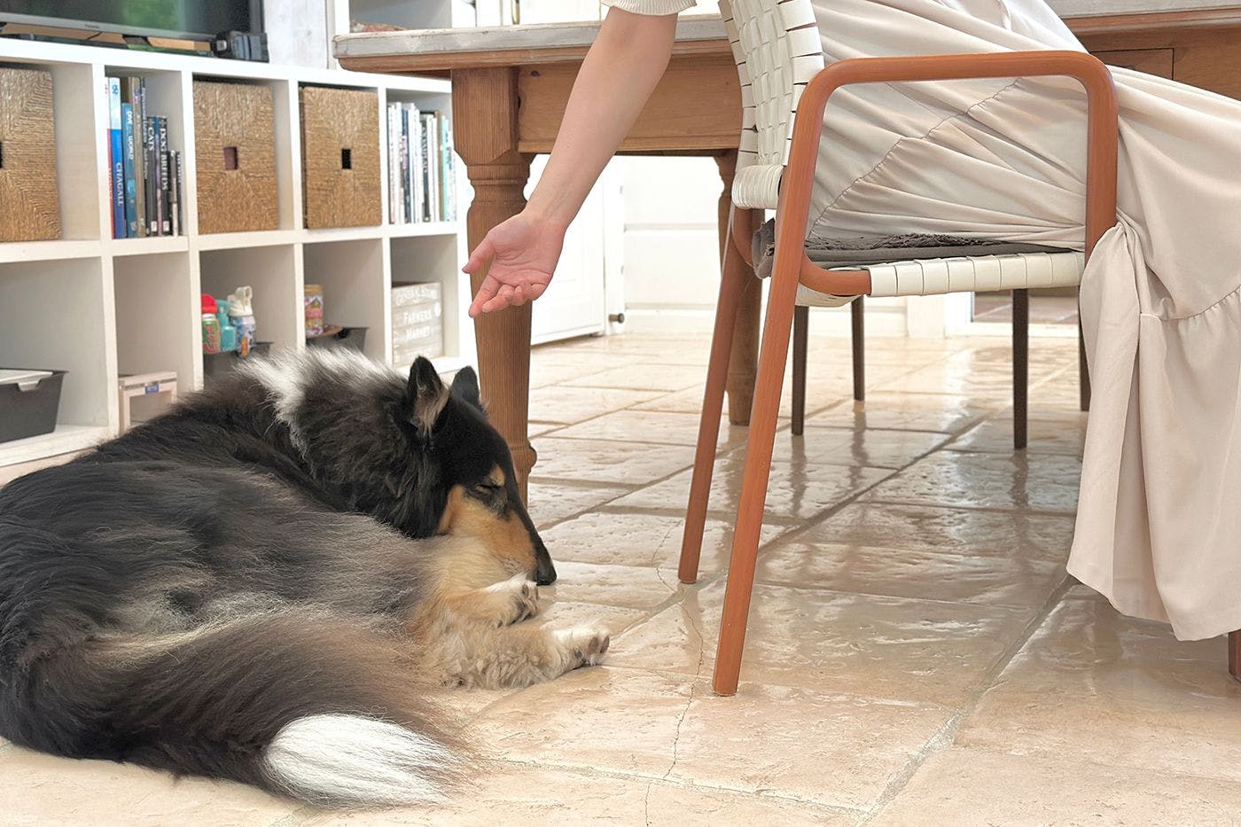 リビングルーム